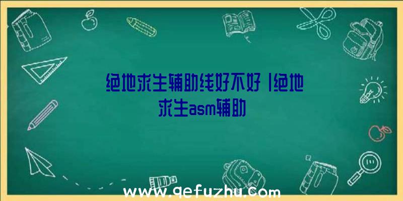 「绝地求生辅助线好不好」|绝地求生asm辅助